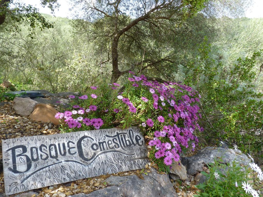 Agroturismo Can Torna Esporles Exterior foto
